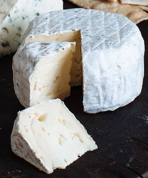 ...Tomales Bay Collection Cowgirl Creamery